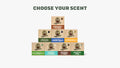 Dr. Squatch Bar Soap 8-Pack — product photo 1 of 6