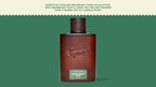 Brand and ingredient story panel for Dr. Squatch Rainforest Mist Cologne