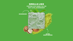 Scent notes graphic for Dr. Squatch Green Tea Butter bar soap