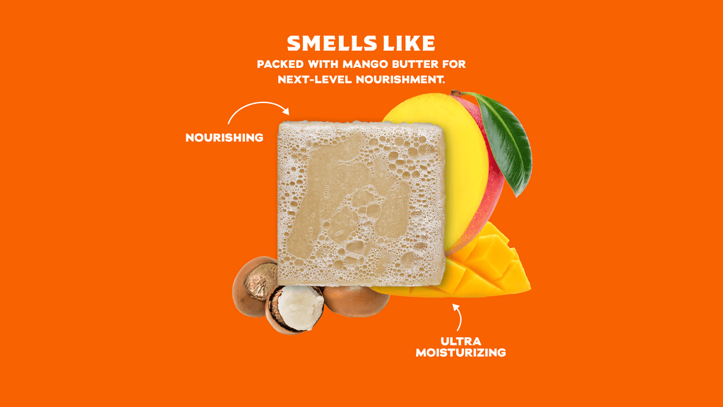Scent notes graphic for Dr. Squatch Total Moisture 6-Pack gift set