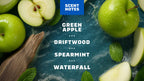 Scent notes graphic used on Dr. Squatch product pages