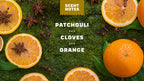 Scent notes graphic for Dr. Squatch Gold Moss bar soap: Earthy Oak