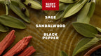 Scent notes graphic used on Dr. Squatch product pages
