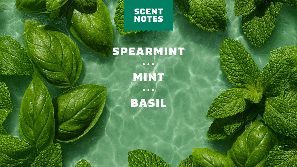 Spearmint Basil