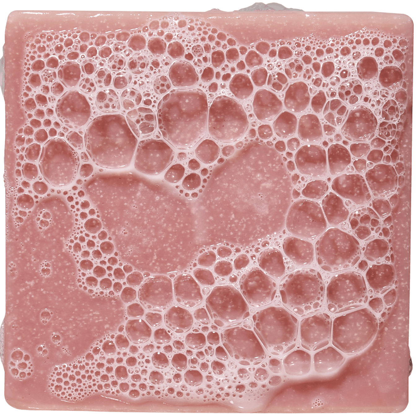 Sea Star Shenanigans - Grooming Essential