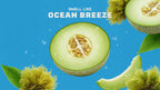 Scent inspiration imagery used on Dr. Squatch product pages