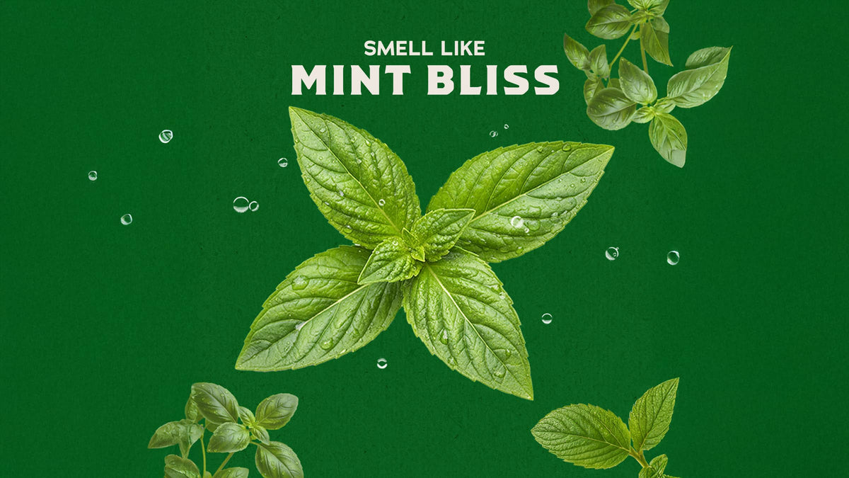 Spearmint Basil